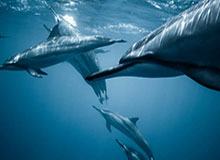 运营同事悄悄说:别再乱点了,91视频真正影响体验的是标题语气