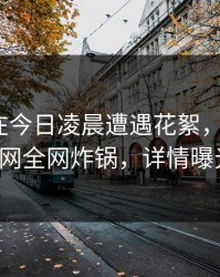主持人在今日凌晨遭遇花絮，动情，91网全网炸锅，详情曝光