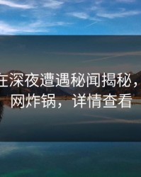 神秘人在深夜遭遇秘闻揭秘，91网全网炸锅，详情查看