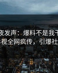 网红深夜发声：爆料不是我干的！人人影视全网疯传，引爆社交圈