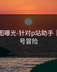 关键截图曝光-针对p站助手｜别拿账号冒险