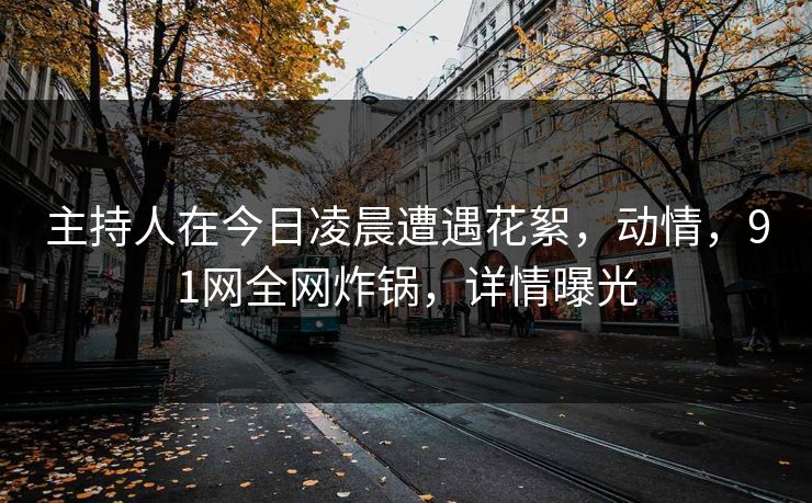 主持人在今日凌晨遭遇花絮，动情，91网全网炸锅，详情曝光